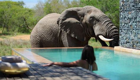 Phinda Game Reserve, Hluhluwe