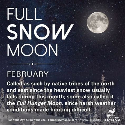 Pin by Ray Smith on Magical Moon | February full moon, Full moon, Moon meaning