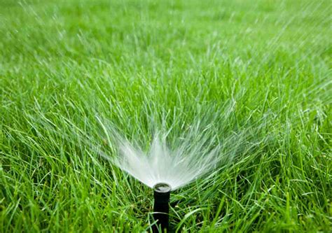 Awesome Watering Tips for a Quality Green Lawn | Best Pick Reports