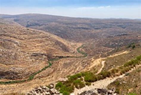 Israel Announces Approval of Seven 'Nature Reserves' in West Bank ...