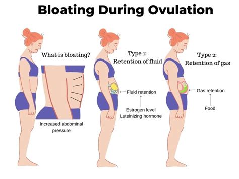 Bloating During Ovulation