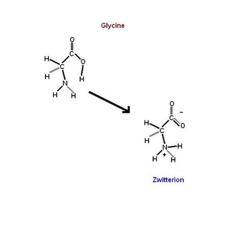 Zwitterion - Its Nature, Occurrence, Ongoing Research