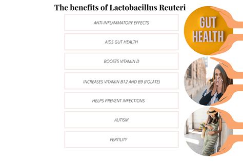 The Vital Role Lactobacillus Reuteri Plays In Your (and Your Babies) Health | Prana Thrive