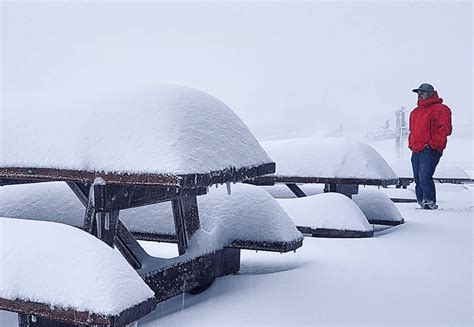 Snow Conditions in Australia Currently 'Japan-Like' | Snowiest Start to a Season in Two Decades ...