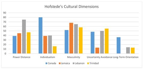 hofstede cultural dimensions china