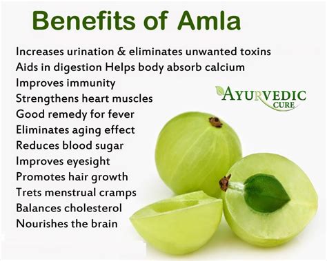 Benefits Of Amla Juice Uses - health benefits