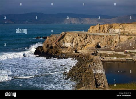 seal point rocks beach seaside the beach seashore birds waves california wave Stock Photo - Alamy