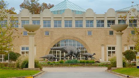 Fernbank Museum of Natural History, GA, USA: Ferienwohnungen, Ferienhäuser und mehr| FeWo-direkt