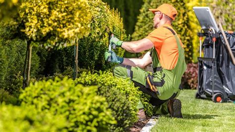 How To Find The Best Landscapers Near Me – Forbes Home