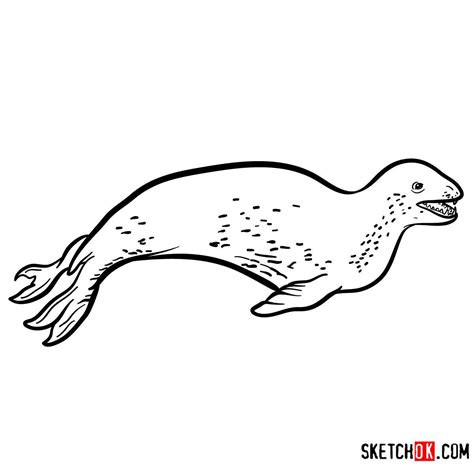 How to draw a Leopard seal | Sea Animals | Sea animals, Leopard seal, Leopard drawing