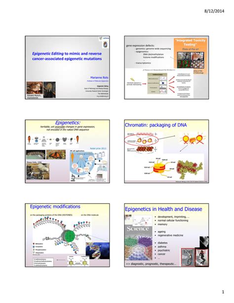 Epigenetics in Health and Disease