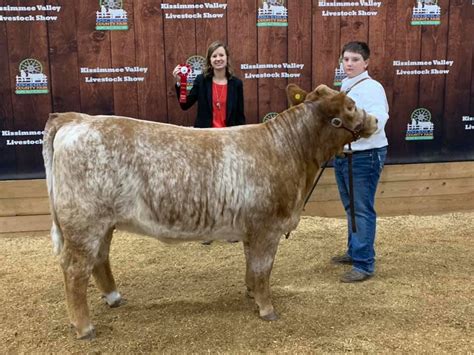 YOUTH LIVESTOCK SHOWS