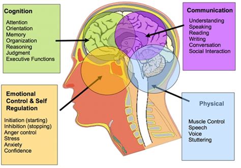 Cognitive Communication | Neuro Rehab Group