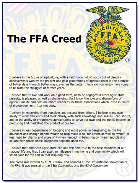 Rotan - FFA Creed