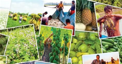 Agriculture in the spotlight in COVID-hit Bangladesh | Prothom Alo