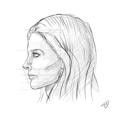 The best free Profile drawing images. Download from 1712 free drawings of Profile at GetDrawings