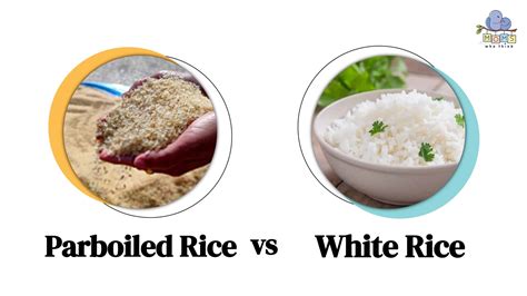 Parboiled Rice vs White Rice: How Different Are They?