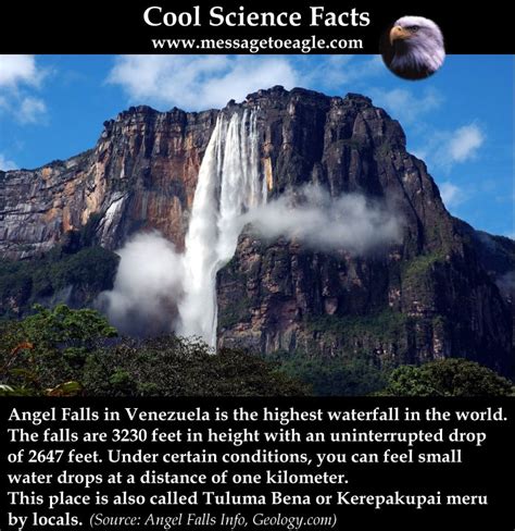 Angel Falls Is The World’s Highest Waterfall - MessageToEagle.com