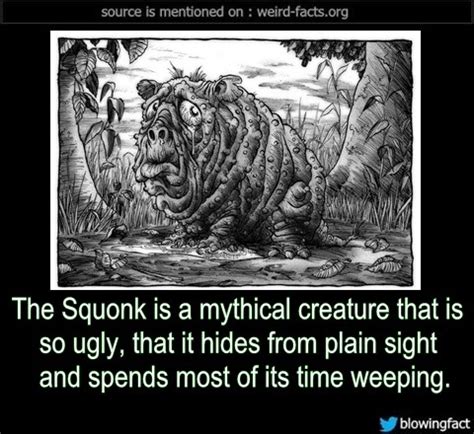 Weird Facts — The Squonk is a mythical creature that is so ugly,...