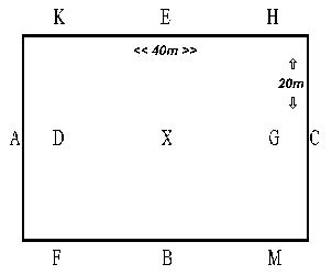 Dressage Arena Markers - Equiworld - Equestrian Information - horses and ponies on the internet ...