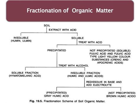 Process of humus formation