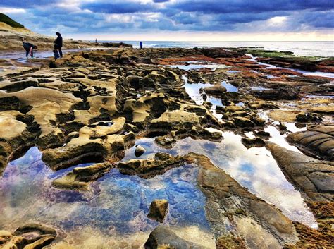 Tide Pools at La Jolla, CA | Beach pictures, San diego bucket list ...