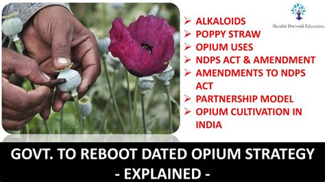 What are Alkaloids & Opium Poppy Straw, Amendments to NDPS Act, Converting CPS to Alkaloids New ...