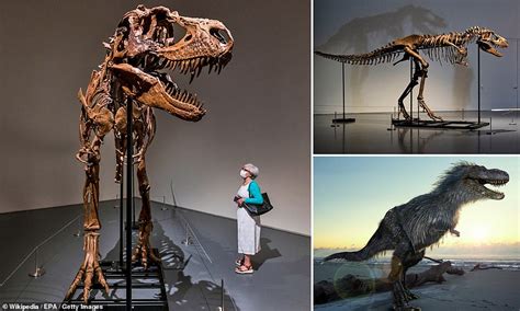 Gorgosaurus skeleton dating back 77 million years sells for $6.1 million | Daily Mail Online