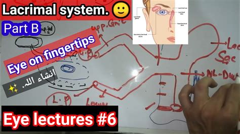 Eye lectures #6. #nasolacrimal duct #regurgitation test. nasolacrimal blockage of nasolacrimal ...