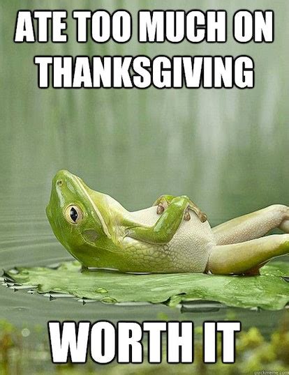 Inspirational Thanksgiving Memes To Get You Through All The Glorious Turkey Day Madness