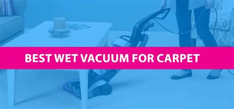 Best Wet Vacuum Cleaner For Carpet in 2024 - Cleaning Beasts