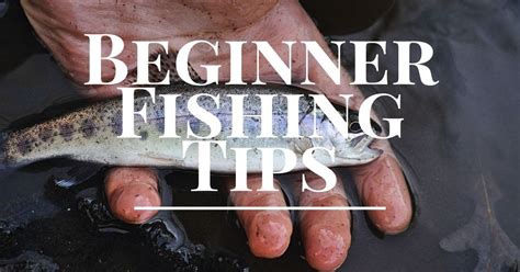 Fishing Tips for Beginners - The Ultimate Beginners Guide to Fishing