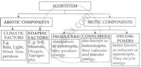 Complete the flow chart: ECOSYSTEM 1. ABIOTIC COMPONENTS 2. BIOTIC ...