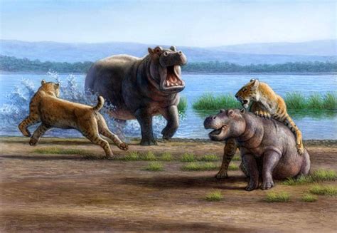 Pleistocene - Mauricio Antón Prehistoric Wildlife, Prehistoric World, Prehistoric Creatures ...