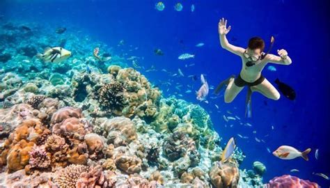 Top 10 Snorkel Spots in the World by the DIVE.in | TripsPoint