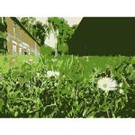 Original Aiflowers 306 | Free SVG