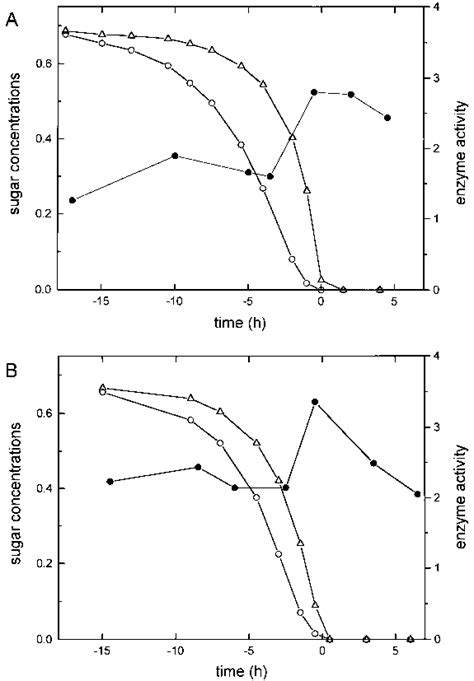 Maltase activity and concentrations of glucose and maltose in aerobic ...