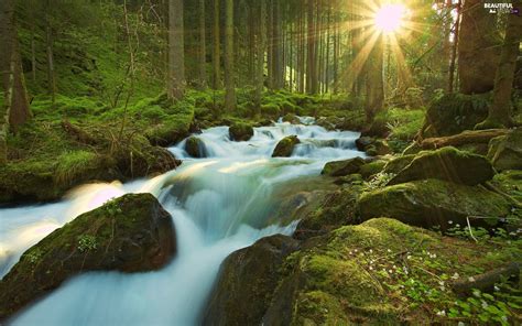 waterfall, rays of the Sun, River, forest - Beautiful views wallpapers: 1920x1200