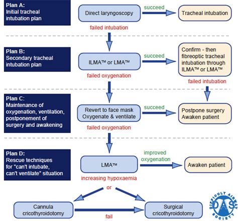 Summary of Difficult Airway Society UK (DAS UK) algorithm for difficult... | Download Scientific ...