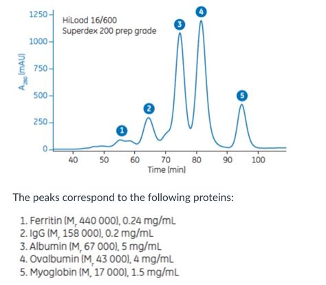 3. In size exclusion (gel filtration) chromatography, | Chegg.com