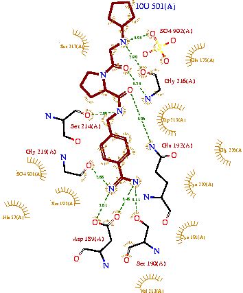 Trypsin - Proteopedia, life in 3D