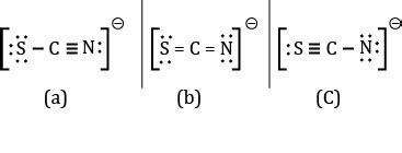 Scn Lewis Structure