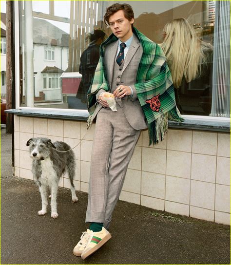 Harry Styles' Gucci Campaign Photos Are Here! | Photo 1163962 - Photo ...