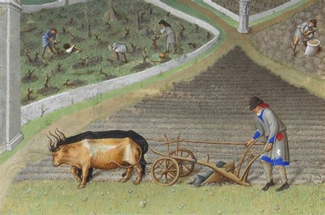 The Heavy Plough - Medieval History