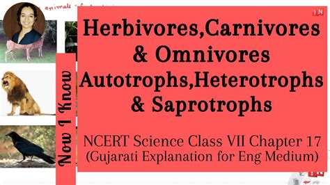 Herbivores, Carnivores & Omnivores | Autotrophs, Heterotrophs & Saprotrophs| NCERT Science Class ...