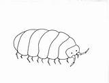 Pill Bug Coloring Page  Vrogueco sketch template