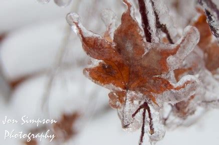 Ice Storm Photography - Jon Simpson