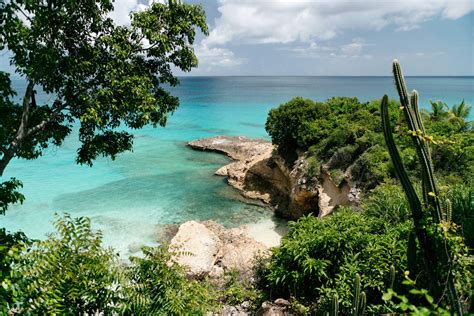 Goats Rule on the Island of Anguilla - The New York Times