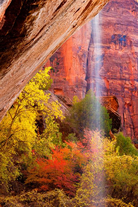 Fall Colors Below A Waterfall Zion Natl Park Fine Art Print | Photos by Joseph C. Filer