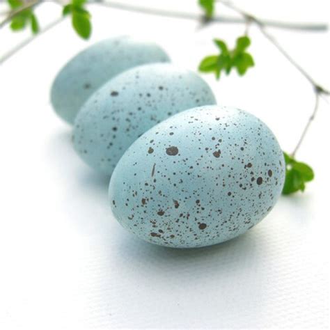 Robin Eggs Bird Eggs Spring Decor - Etsy